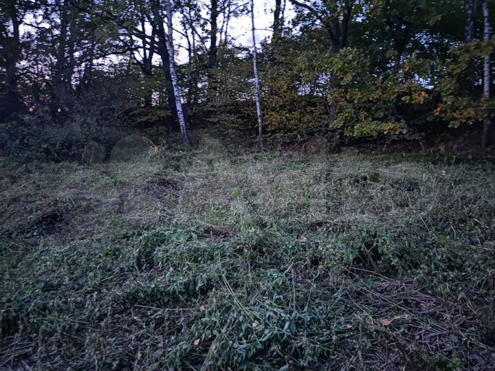 Участок 10 сот. (СНТ, ДНП)