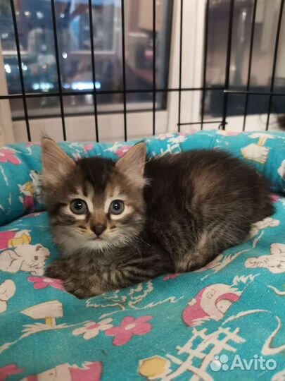 Малышка 1 месяц