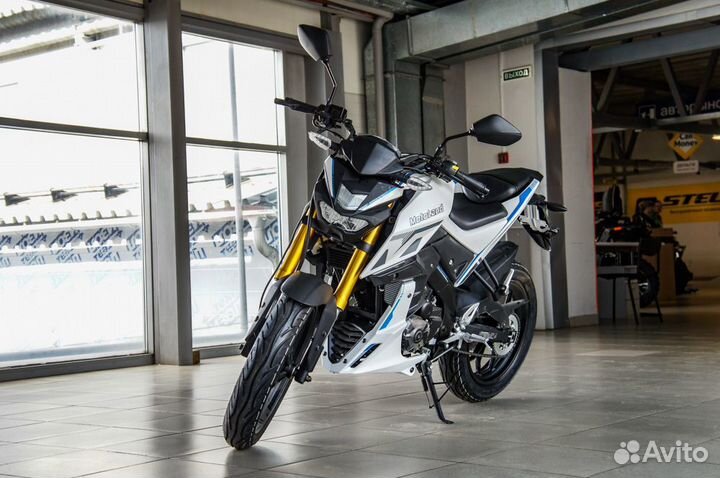 Мотоцикл Motoland MT 250 (172FMM-5/PR250) с птс