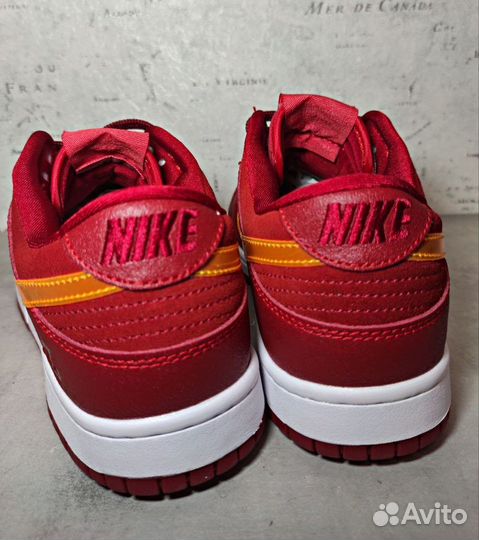 Кроссовки Nike Dunk Low SP ALT