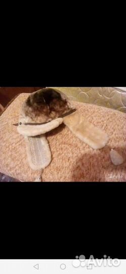 Шапки и кепка