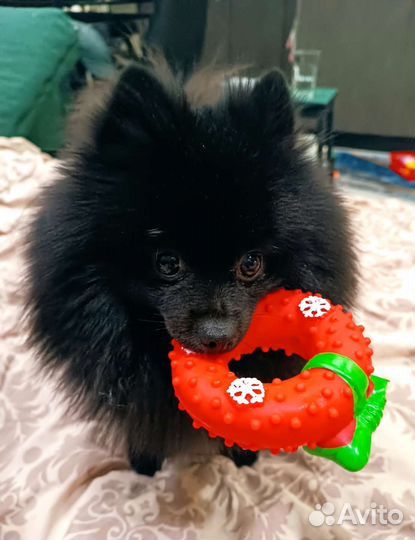 Вязка. Кабель развязанный