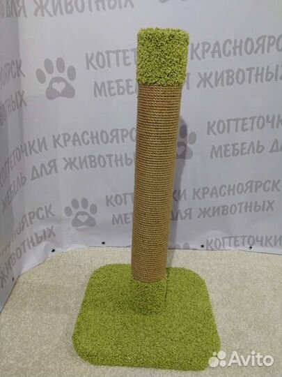 Когтеточка