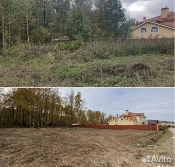 Расчистка участка от деревьев и кустарников