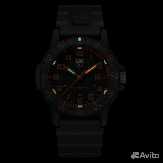 Часы мужские Luminox Leatherback SEA Turtle