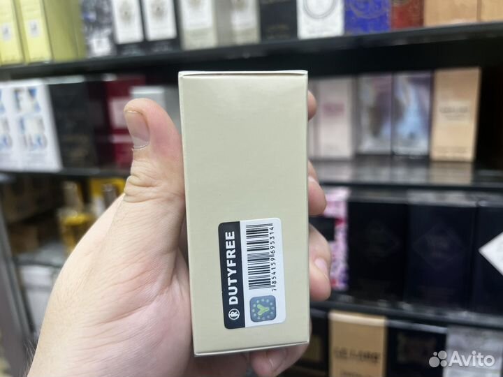 Tiziana terenzi cassiopea