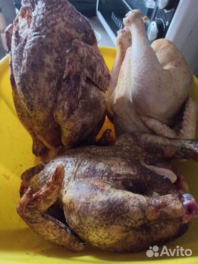 Мясо домашнего бройлера
