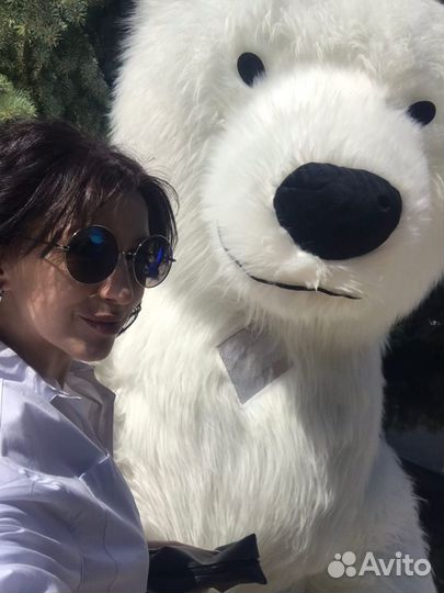 Белый мишка аниматор