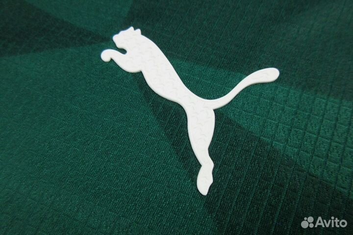 Форма Палмейрас сезон 23/24