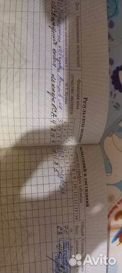 Русско европейская лайка для вязки