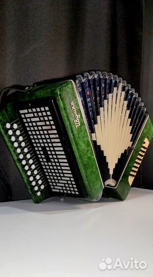 Гармонь ивушка