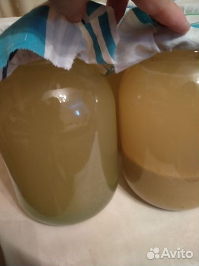 Натуральный фруктовый уксус (микс)