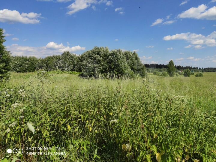 Участок 16 сот. (ИЖС)