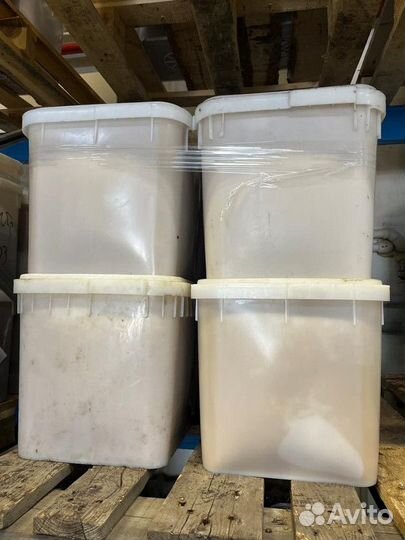 Луговой мед оптом