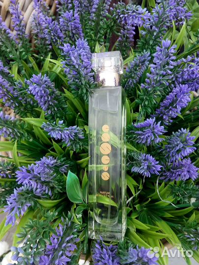 Стойкие ароматы Essenc дисконт 40