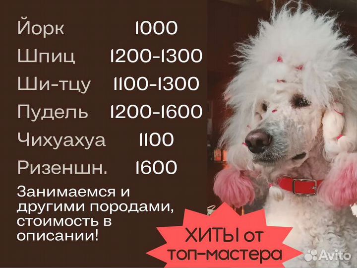 Груминг собак и кошек, Экспресс-линька