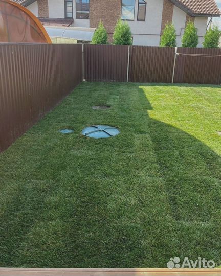 Рулонный газон. Озеленение участка