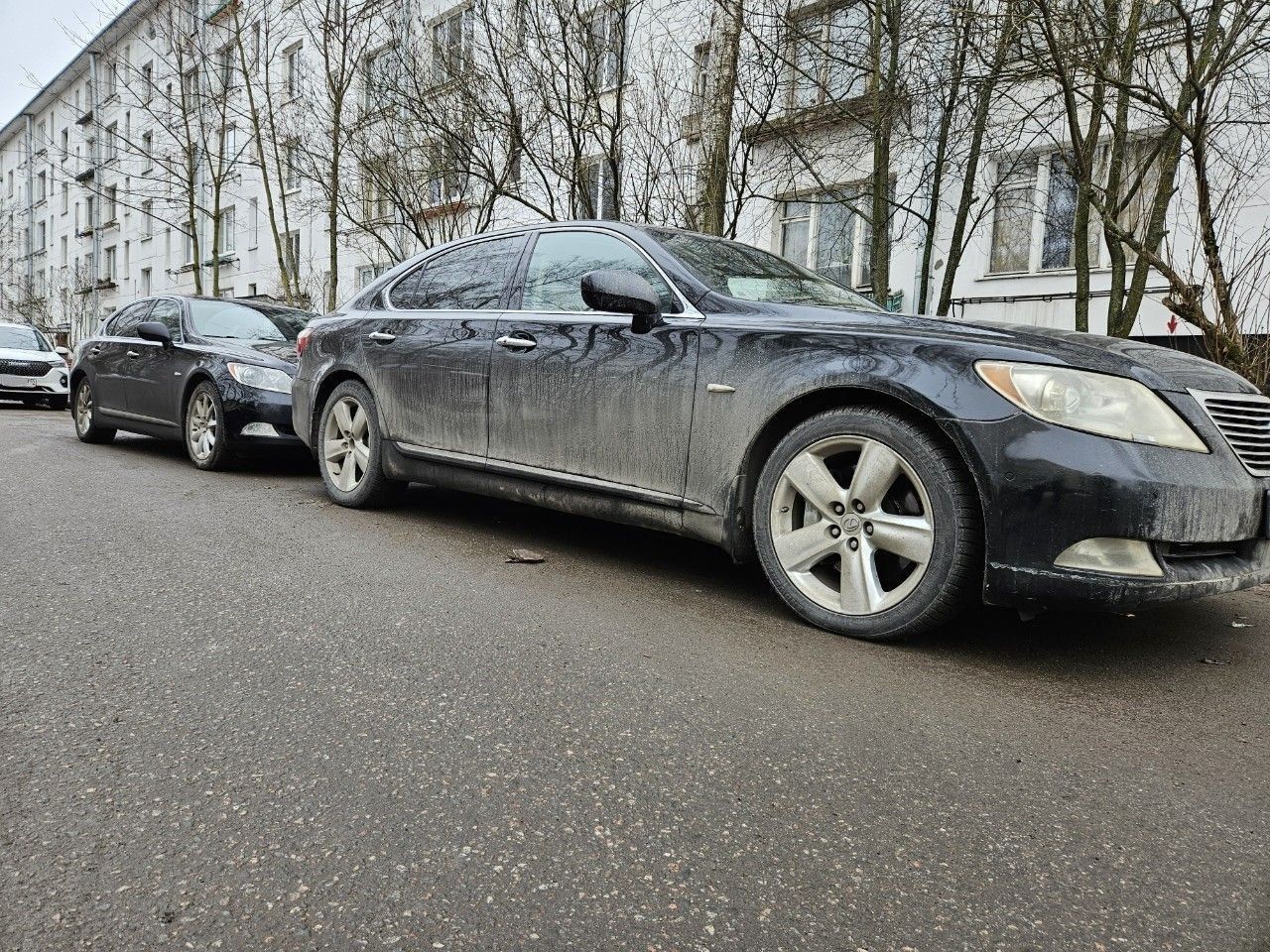 Lexus LS: фото из отзыва