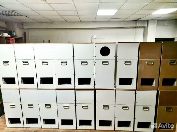 Шумбокс для asic t21
