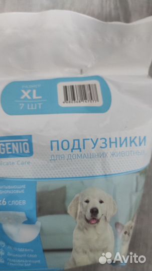 Шлейка, ошейник и подгузники для собак