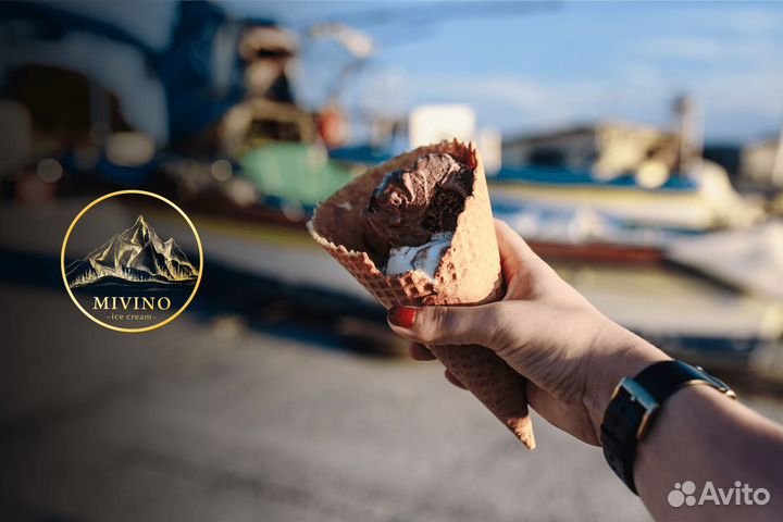 Бизнес сфере крафтового мороженого с 