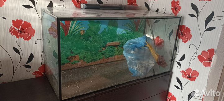 Аквариум