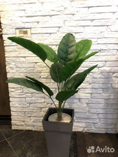 Искусственная пальма, декоративные растения