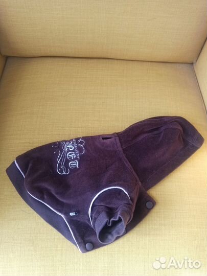 Одежда для маленьких собак