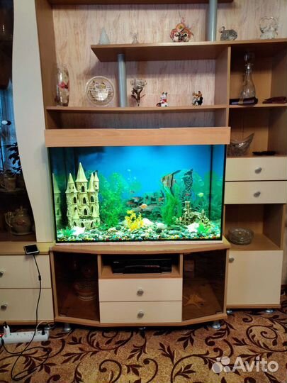 Аквариум