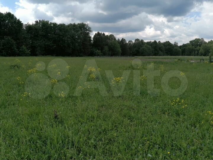 Участок 40 сот. (СНТ, ДНП)