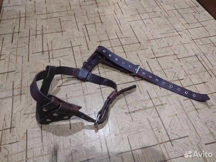 Шлейка и строгий ошейник