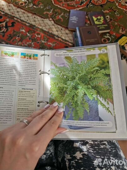Книги домашние растения
