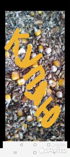 Зерновые отходы