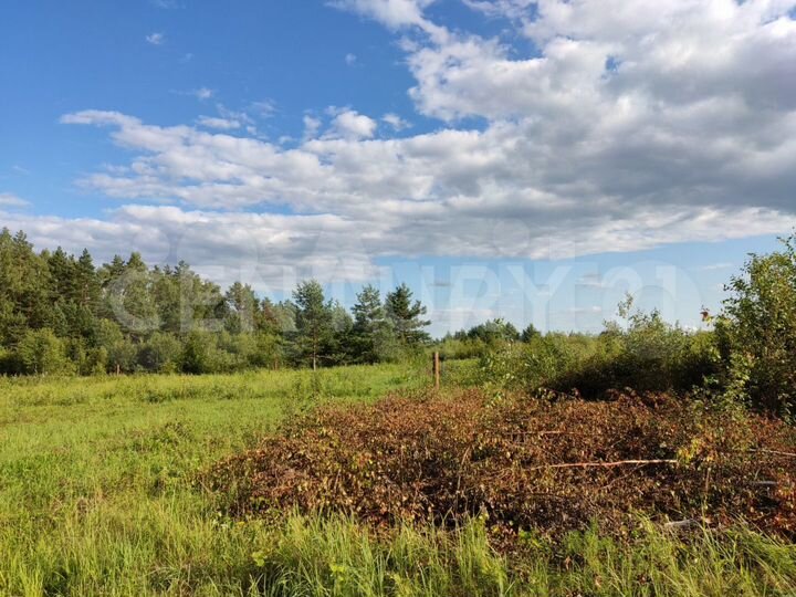 Участок 16,3 сот. (ИЖС)