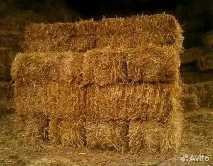 Солома в тюках в Голицыно