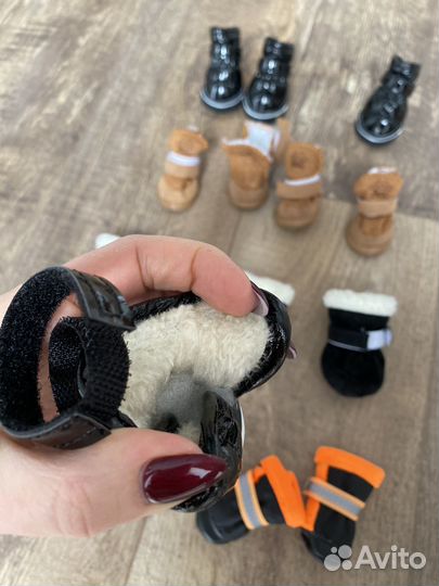 Обувь для собак