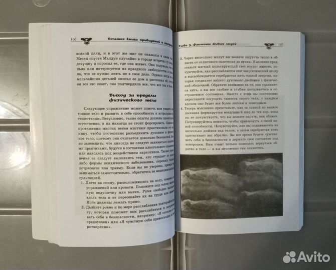 От кого мы произошли, Привидения, Ваш гороскоп