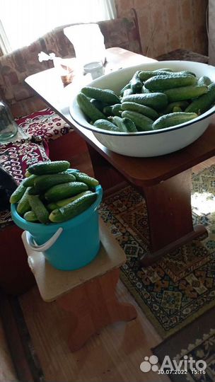 Огурцы