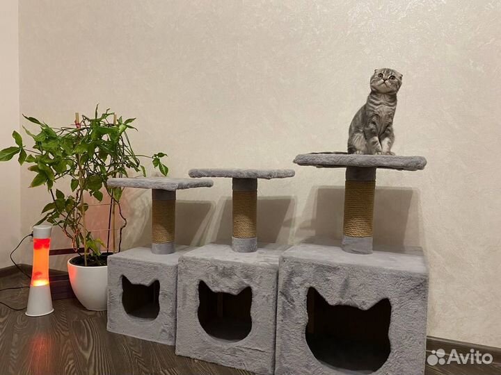 Когтеточка для кошки