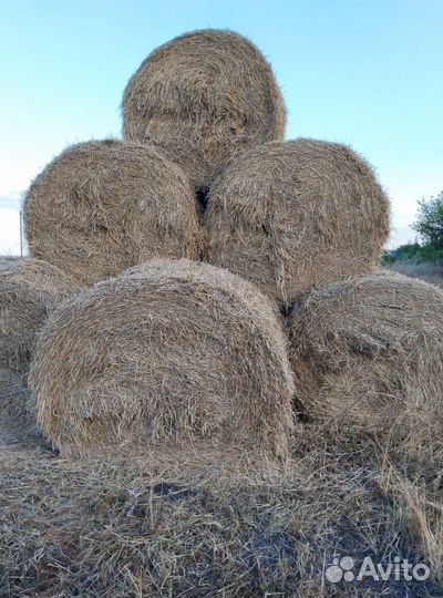 Солома ячменная в тюках
