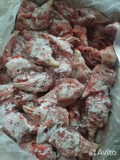 Индейка на корм