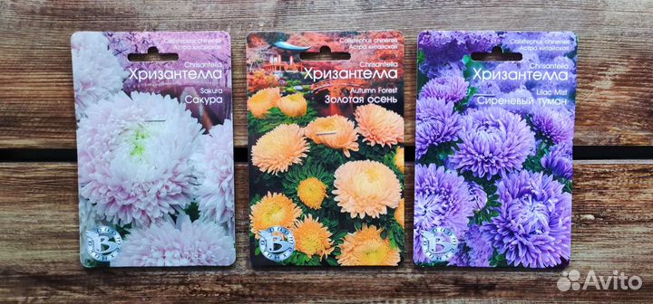 Семена Астра Китайская