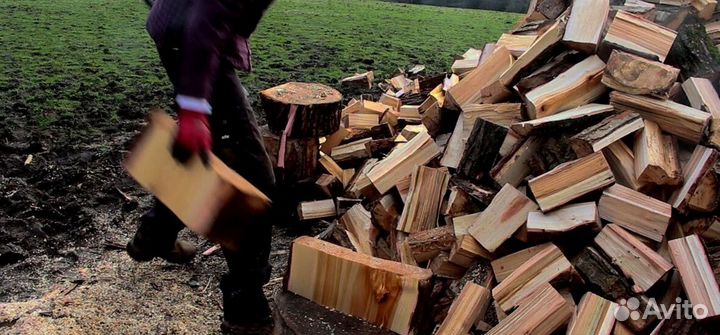 Дрова с Выборга