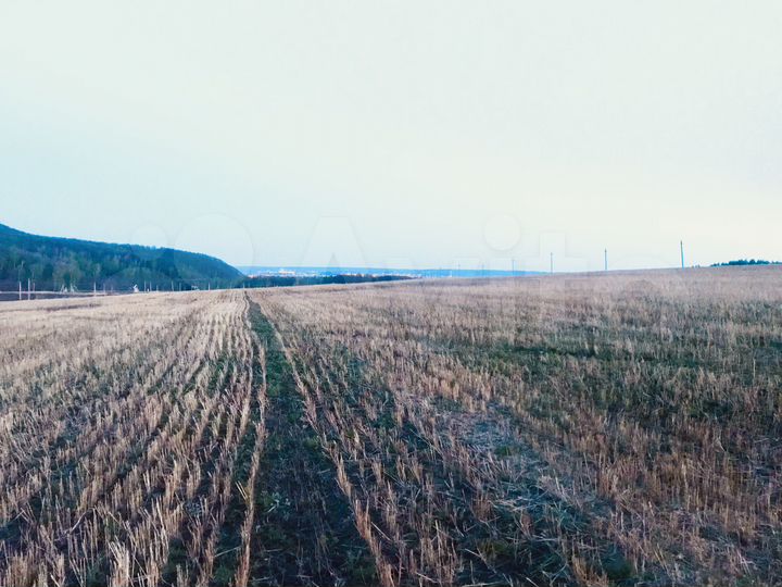 Участок 5,3 га (СНТ, ДНП)