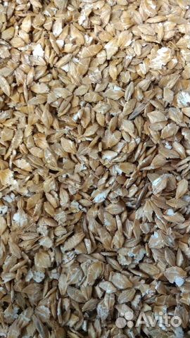Ячмень плющеный Для Лошадей и Пони