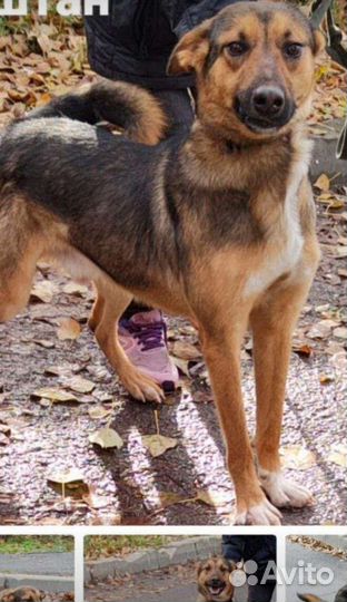 Добрый мальчик из, черного приюта