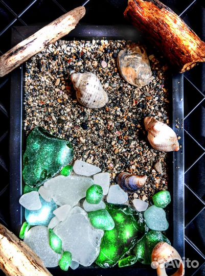 Морские сувениры.(для творчества,аквариумов)