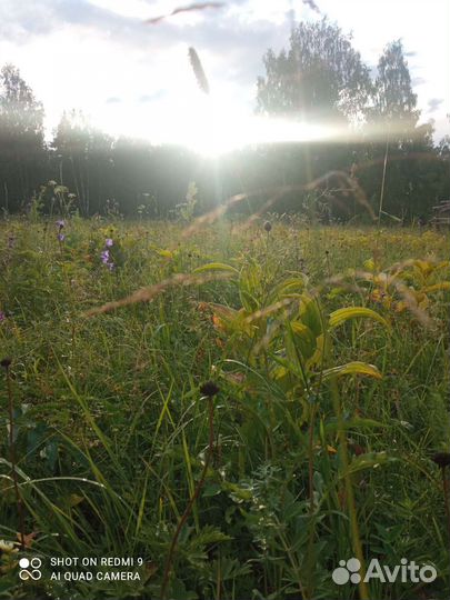 Красота и здоровье