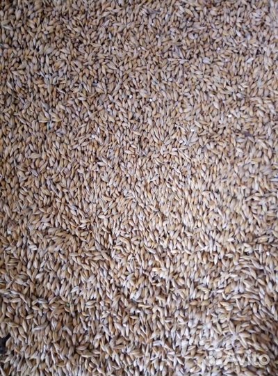 Комбикорма