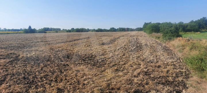 Участок 3 га (ИЖС)